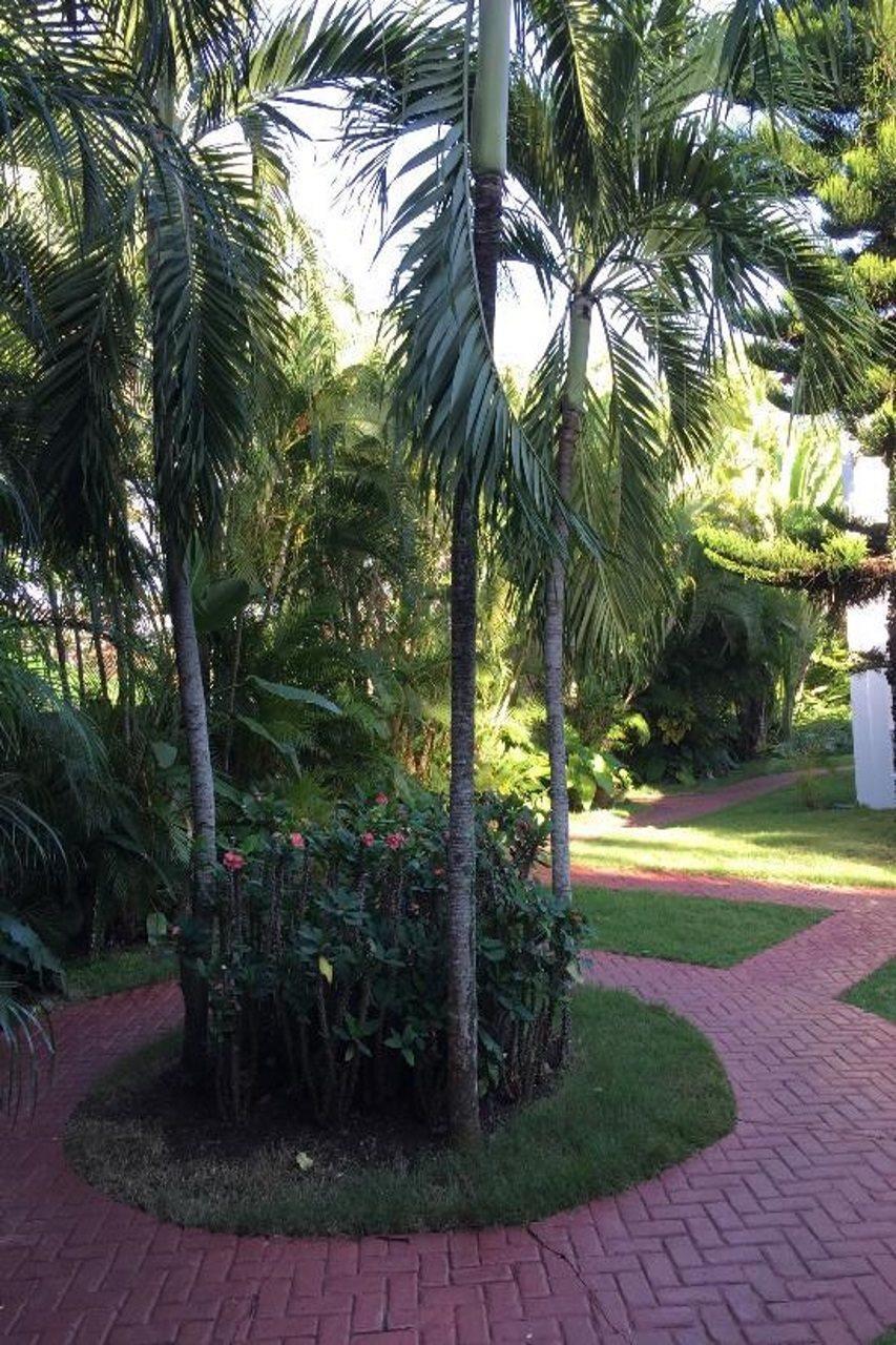 Tribe Resorts Juan Dolio Exterior photo